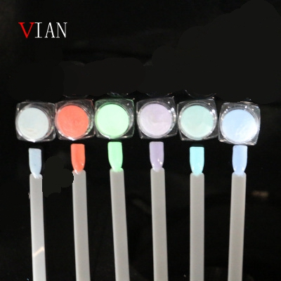 Glow In Dark Nail Pigments Powder