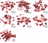 Hot Sales Rain-flower Pebble Nail Decoration