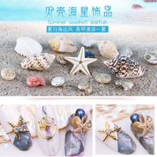 Shells Nail Art Decoration