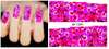 XF1390-1395 Flower Water Nail Sticker