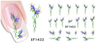 XF1432-1437 Flower Water Nail Sticker