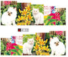 A127-132 Plaid And Cat Water Nail Sticker