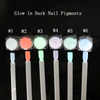 Glow In Dark Nail Pigments Powder