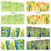C252-255 Peacock Water Nail Sticker