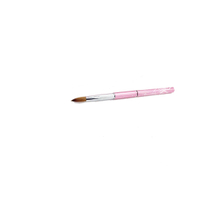 2#-10# Detachable Painting Acrylic Nail Brush With Pen Cover