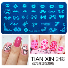 TIAN XIN Series 24 Designs Nail Stamp Plate