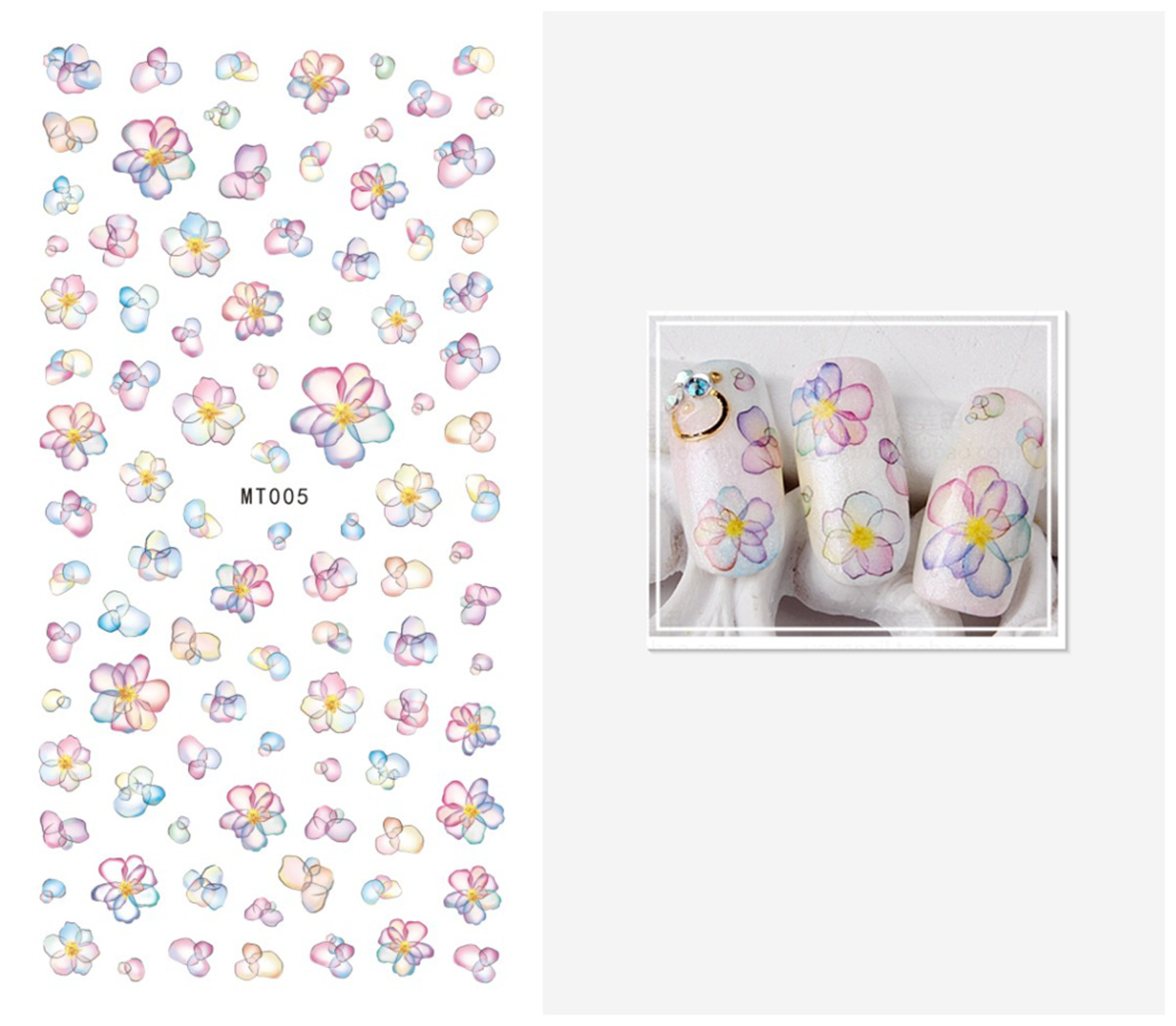 4290635523_449938655