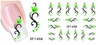 XF1456-1461 Flower Water Nail Sticker