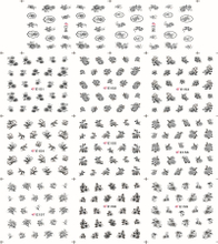 E149-159 3D Black Flower Simulation Nail Art Sticker