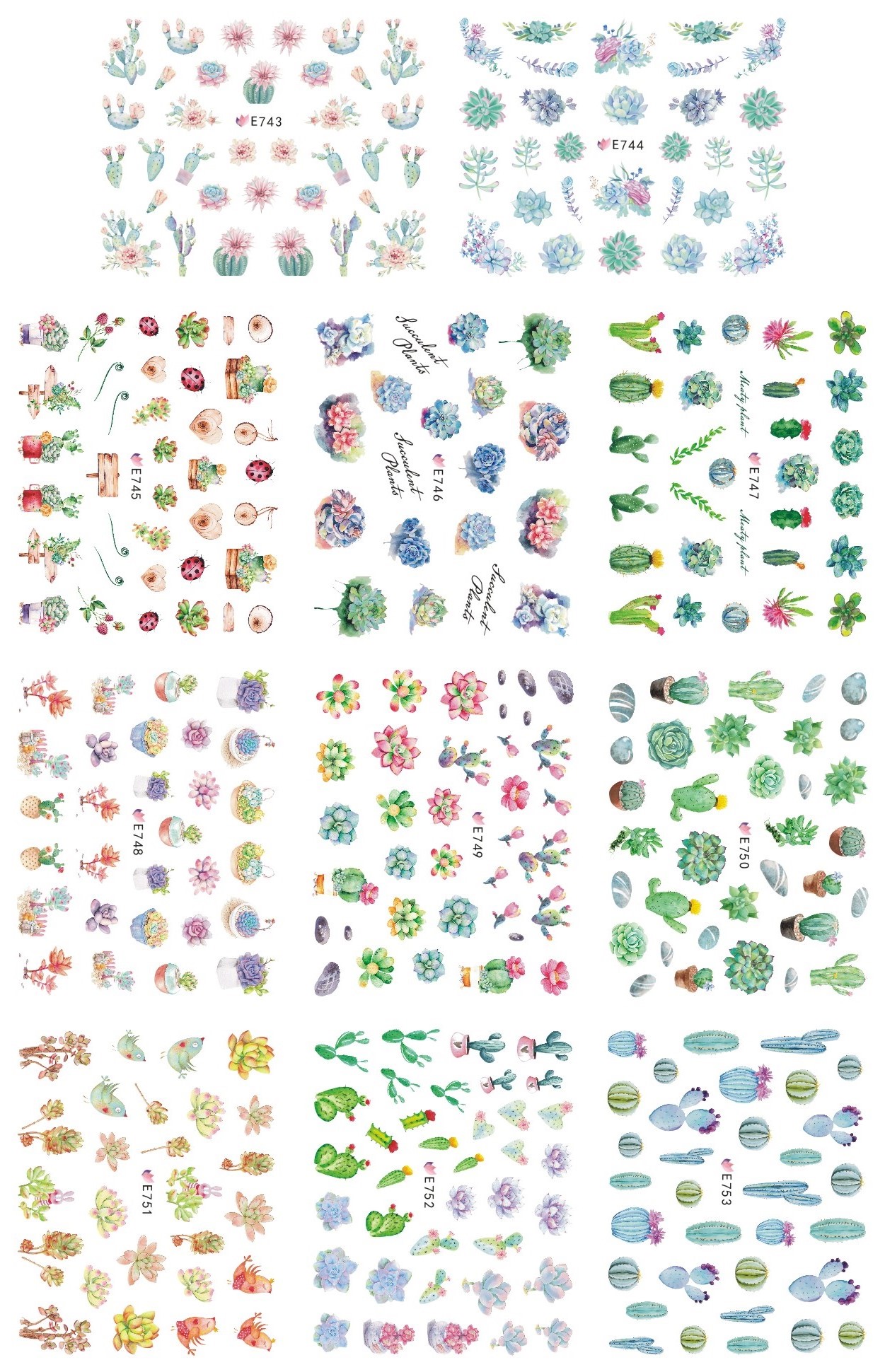 E743-753 春天多肉植物