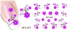 XF1444-1449 Flower Water Nail Sticker