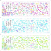 HOT037-039 Water Nail Sticker