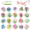 Japanese Nail Dry Flower Nail Decoration