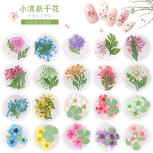 Japanese Nail Dry Flower Nail Decoration