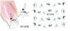 XF1271-1276 Water Nail Sticker