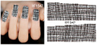 XF1546-1551 Water Nail Sticker
