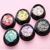 Irregular Shell Fragment Nail Art Decorations 