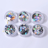 Sliver Star Nail Glitter Sequins Set