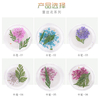 Japanese Nail Dry Flower Nail Decoration