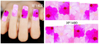 XF1396-1401 Watercolor Flower Water Nail Sticker