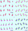 Flower Design Water Nail Sticker