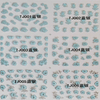TJ001-012 3D Blue Silver Flower Nail Art Sticker 