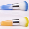 Colorfull Nail Dust Brush