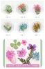 Japanese Nail Dry Flower Nail Decoration