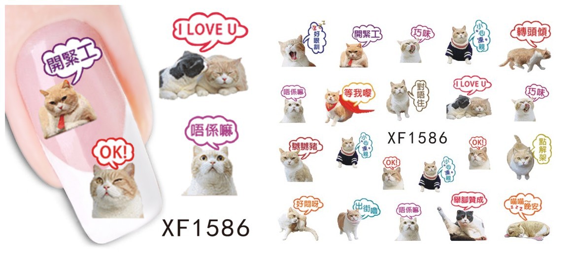 3657873424_706147168