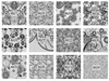 A625-636 Pattern Water Nail Sticker