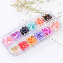 Shell Slice For Nail Beauty