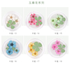 Japanese Nail Dry Flower Nail Decoration