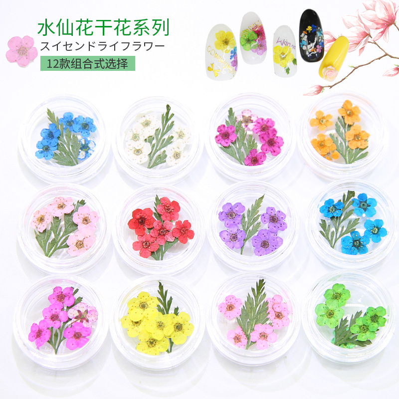 Nail Dry Flower in Jar