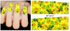 XF1414-1419 Flower Water Nail Sticker