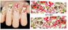 XF1480-1485 Water Nail Sticker