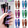 Chameleon Nail Mirror Powder Nail Air Cushion Magic Pen