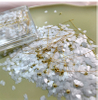 Nail Cherry Blossom Glod Caviar Gold Line Nail Glitter Sequin Nail Decoration