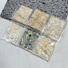 Natural Shell Slice Nail Decoration 