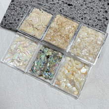 Natural Shell Slice Nail Decoration 