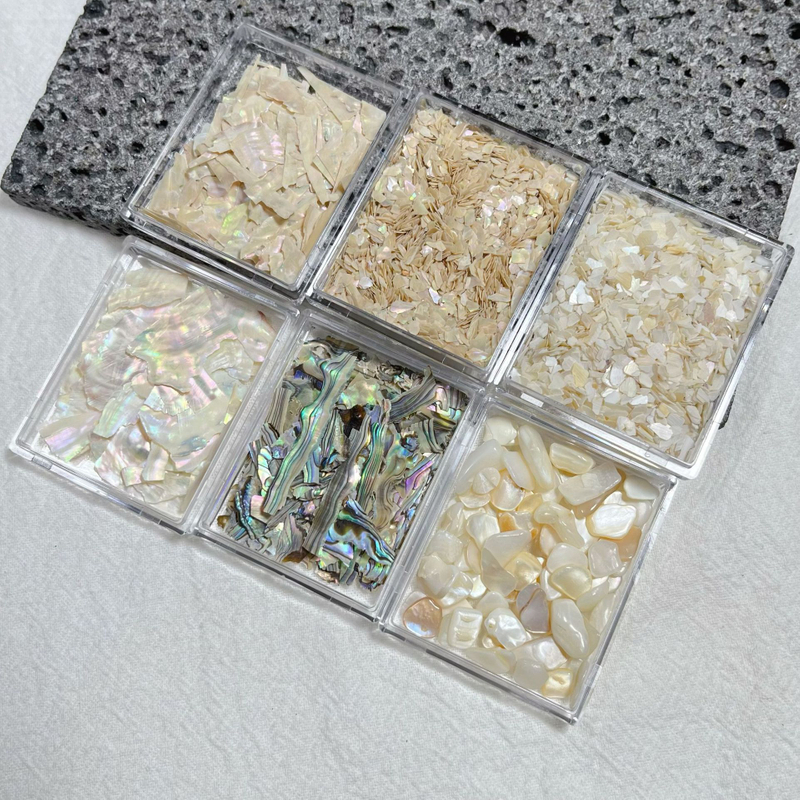 Natural Shell Slice Nail Decoration 