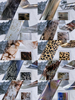 Leopard Pattern Snake Pattern Lace Flower Mirror Effect Nail Transfer Foil Sticker