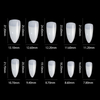 Eagle Claw Nail Tip 100pcs/box