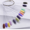 50pcs Color Card Oval Nail Tips Display Clear Color False Nail Tip for Gel Polish Practice Nail Art Tool Fan Shaped Palette
