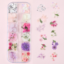 Dried Flowers for DIY Nail Rhinestones Butterfly Nail Decoration