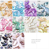 Irregular Symphony Shell Nail Decoration