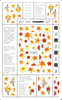 F692 Poster Flower Self-adhesive Nail Art Sticker