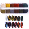 5D Magnetic Chameleon Symphony Cat Eye Nail Powder