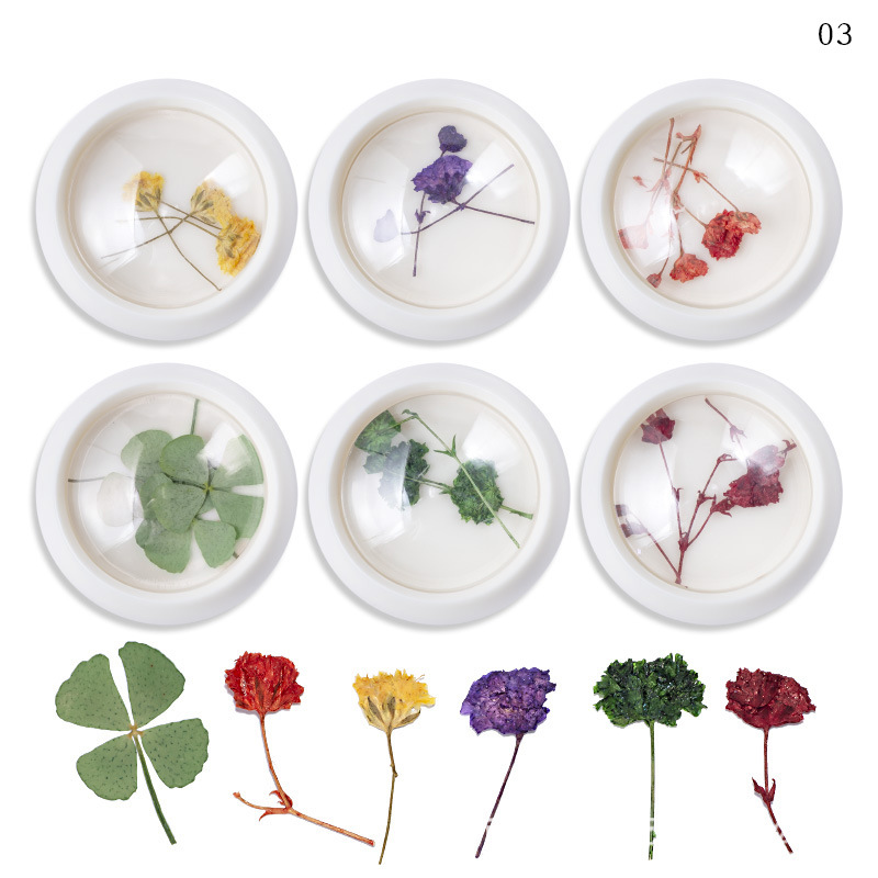 Nail Dry Flower Decoration in Jar