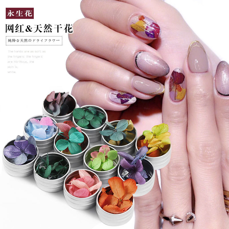 Nail Natural Eternal Dry Flower
