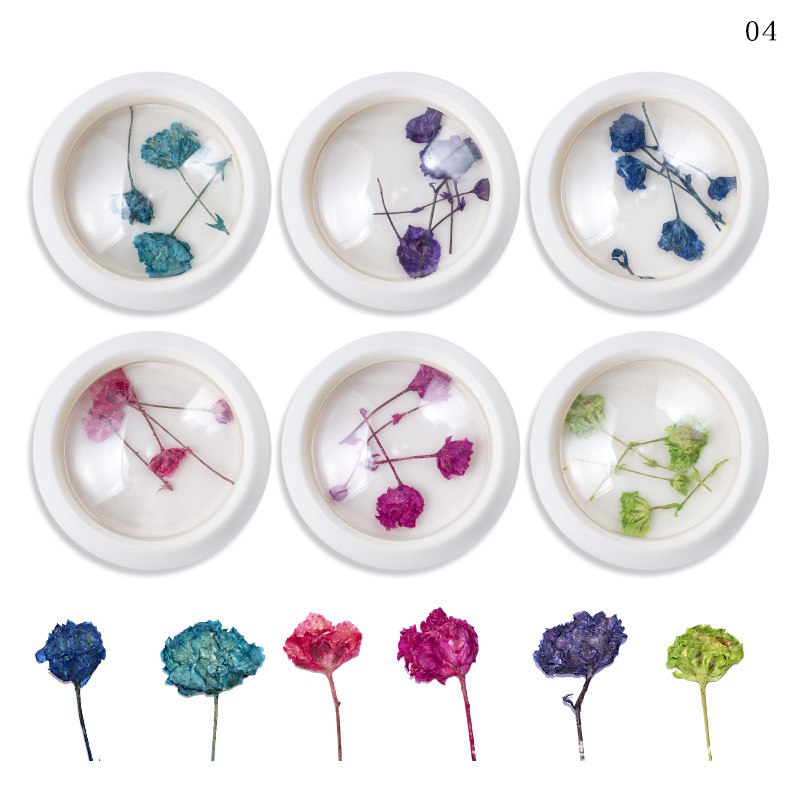 Nail Dry Flower Decoration in Jar